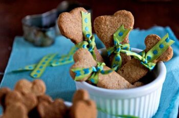 Biscoitos Saudáveis para Cachorros Rações Super Premium