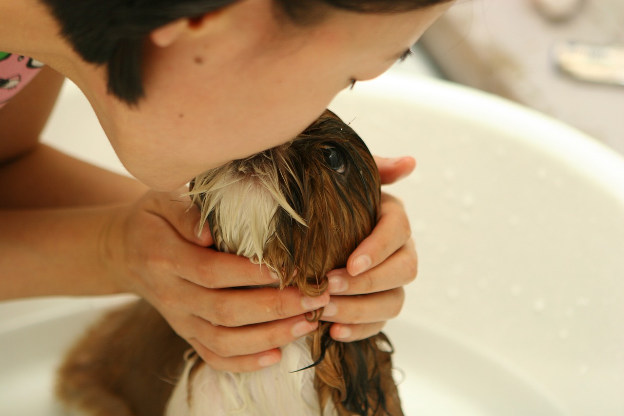 Cachorros podem tomar banho com água quente