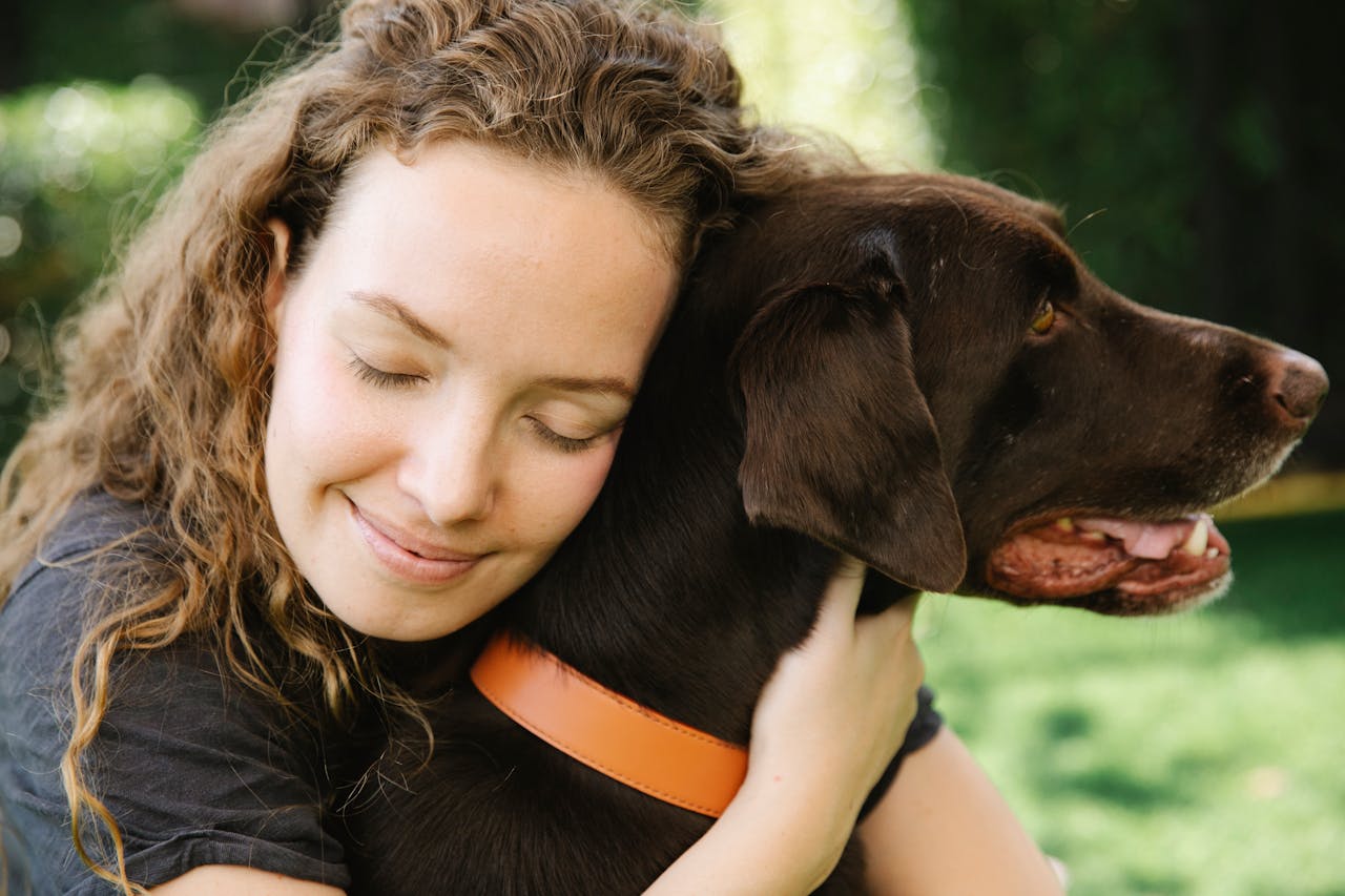 Dicas para evitar que seu cachorro lamba machucados