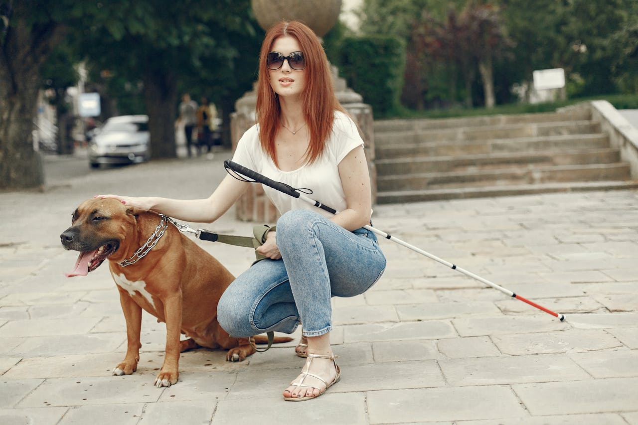 O que é preciso para adquirir um desses cães no Brasil