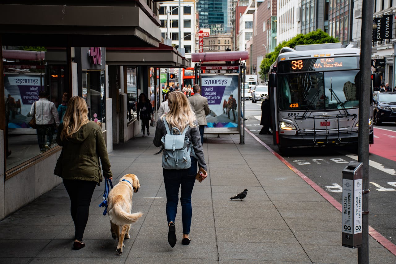 Pode levar cachorro no ônibus