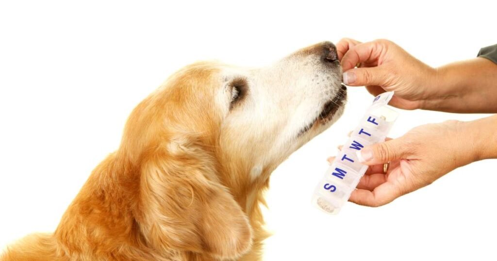 Usos, dosagem e efeitos colaterais