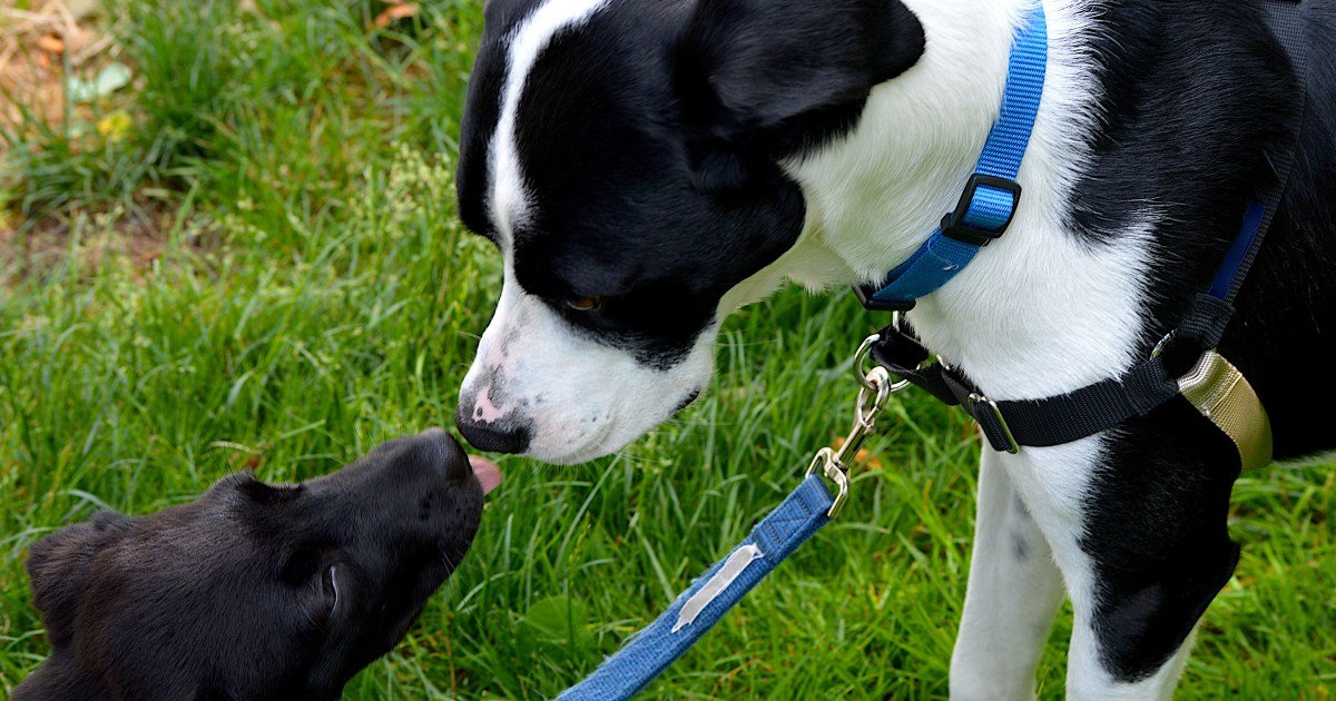 Dicas para uma boa primeira reunião