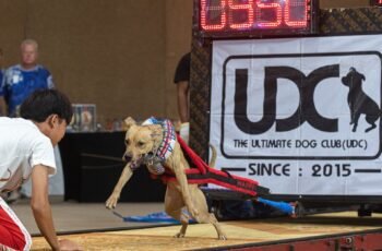 Dicas para uma boa primeira reunião