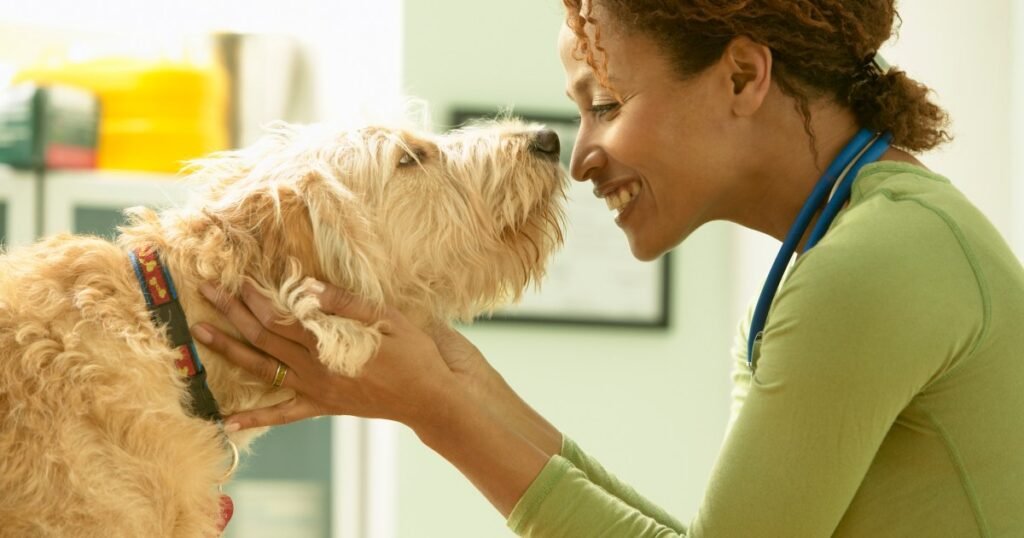 Usos, dosagem e efeitos colaterais