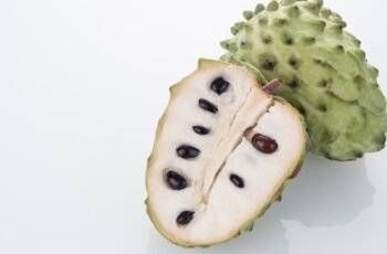 Os cães podem comer couve -flor? A couve -flor é segura para cães?