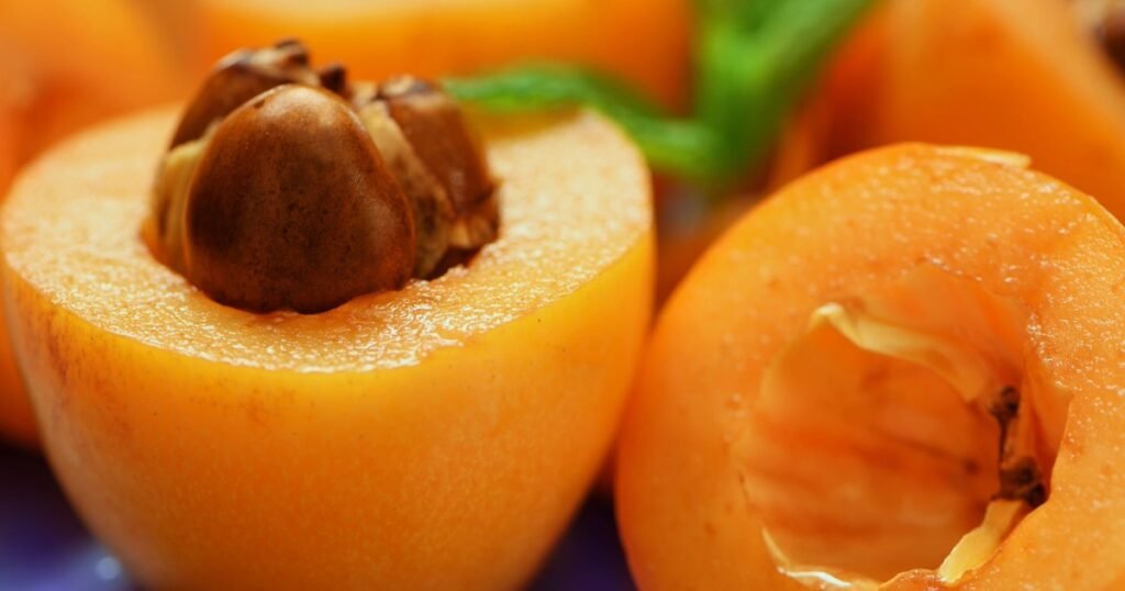 Os cães podem comer frutas loquat? O Loquat Fruit é seguro para cães?