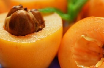 Os cães podem comer Cherimoya? Cherimoya é seguro para cães?