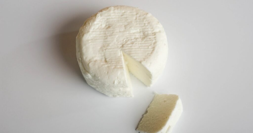 Os cães podem comer queijo de cabra? O queijo de cabra é seguro para cães?