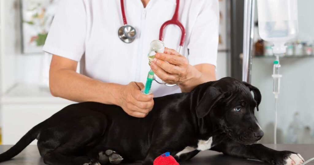 Usos, dosagem e efeitos colaterais