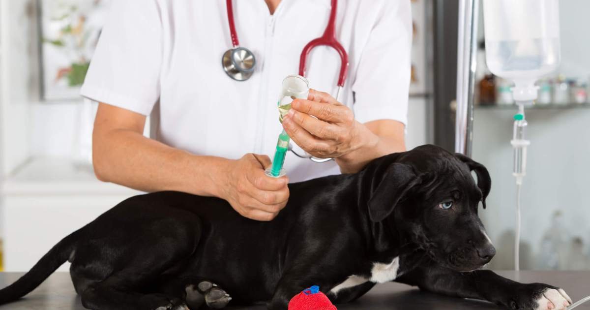 Usos, dosagem e efeitos colaterais Usos, dosagem e efeitos colaterais