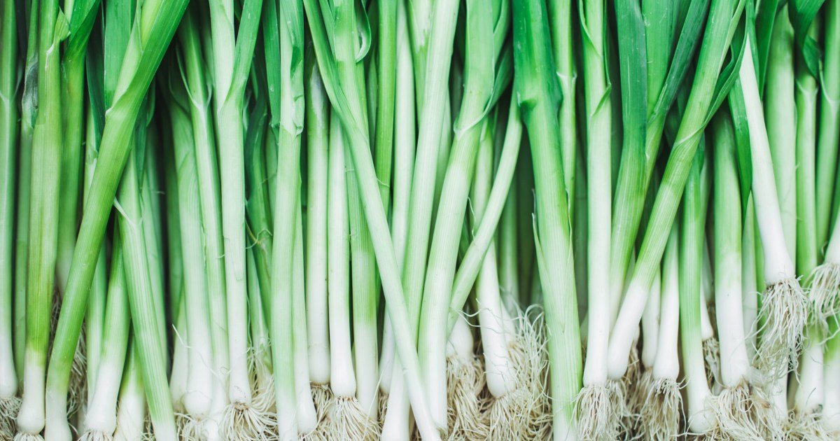 Os cães podem comer cebolinha? As cebolinhas são seguras para cães?