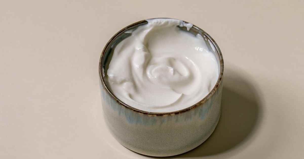 Os cães podem comer creme de leite? Creme de leite é seguro para cães?