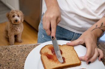 Os cães podem comer agrião? O agrião é seguro para cães?