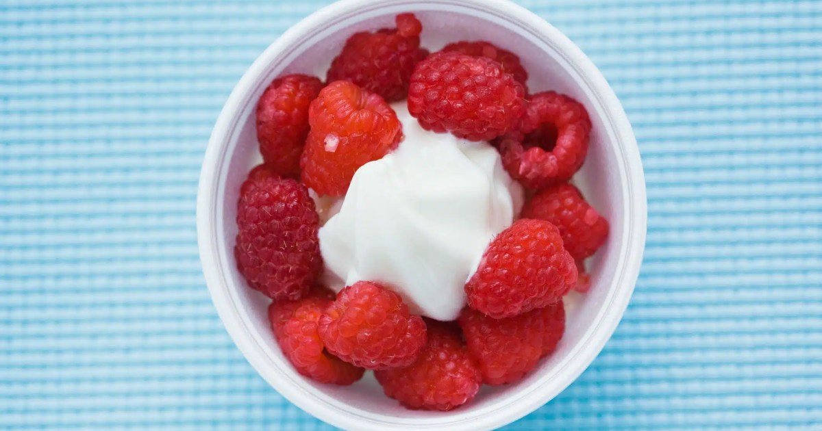 Os cães podem comer iogurte congelado? O iogurte congelado é seguro para cães?