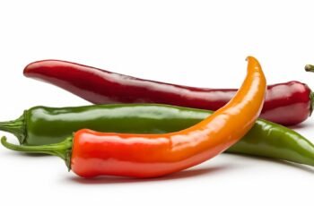 Os cães podem comer chalotas? A cebolinha é segura para cães?