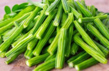 Os cães podem comer amêijoas? As amêijoas são seguras para cães?