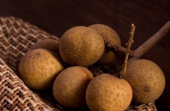 Os cães podem comer castanhas de água? As castanhas de água são seguras para cães?