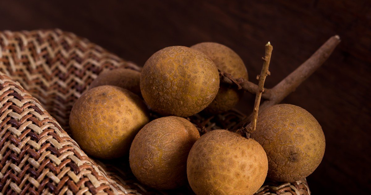 Os cães podem comer longos? Longans é seguro para cães? Os cães podem comer longos? Longans é seguro para cães?