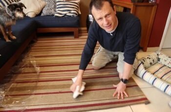 A Alimentação Correta do Seu Cão: Um Guia Essencial Para Saúde, Energia e Longevidade 🐶🥩🥕